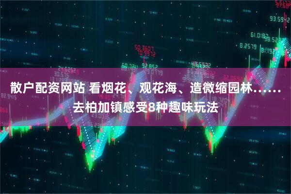 散户配资网站 看烟花、观花海、造微缩园林……去柏加镇感受8种趣味玩法