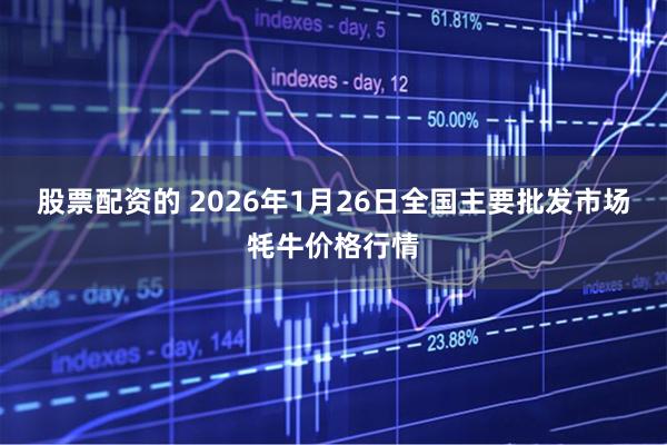 股票配资的 2026年1月26日全国主要批发市场牦牛价格行情