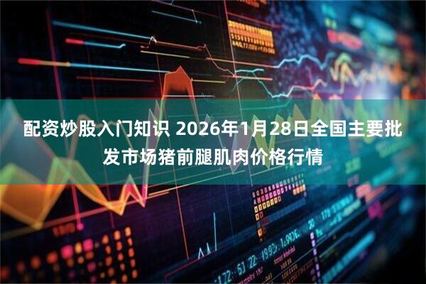 配资炒股入门知识 2026年1月28日全国主要批发市场猪前腿肌肉价格行情
